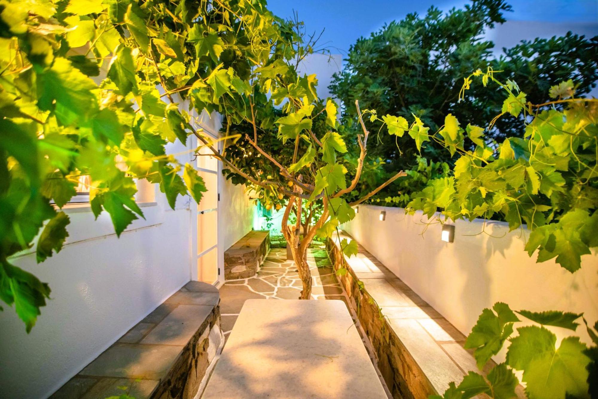 Kontaratos Studios & Apartments Páros Dış mekan fotoğraf